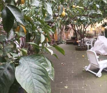 Vittorio Emanuele House | Discover Il Giardino Nascosto: Pet-Friendly Retreat 9.1/10