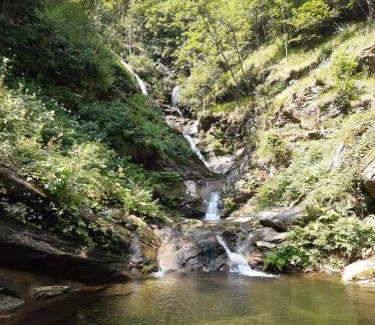 Rora Other | Pet-Friendly Camping Experience at Il Glomere, Rorà