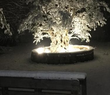Borgatella Bed & Breakfast | Pet-Friendly Retreat at Il Leccio with Pool & High Ratings