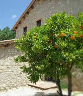 Montebuono House | Beachfront Retreat at Il Merangolo with Pool & Ocean Views