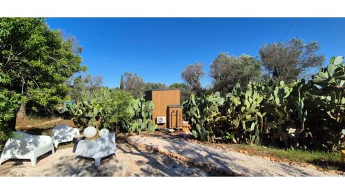 Ceglie Messapica House | Il Nostro Sogno - Madonna by Tiny Away