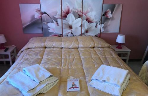 Isernia Bed & Breakfast | Discover Il Piccolo Principe: Pet-Friendly Comfort Awaits