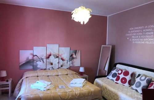 Isernia Bed & Breakfast | Discover Il Piccolo Principe: Pet-Friendly Comfort Awaits