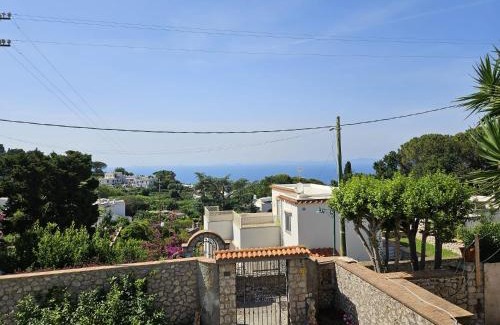 Tiberio Bed & Breakfast | Explore Il Portico B&B Capri: Family-Friendly Retreat