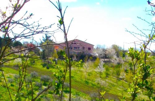 Bettolelle Bed & Breakfast | Cozy Il Rifugio dell'Ape Agriturismo with Ocean Views