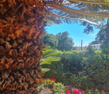 Valcanneto Bed & Breakfast | Oceanfront Retreat: Il Sogno delle Rondini Awaits You