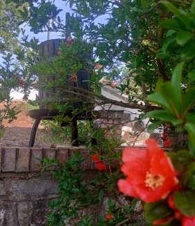 Rifreddo Bed & Breakfast | Guest Rated 9.9: Il Sottobosco - Family & Pet Friendly Stay