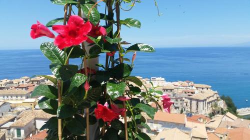 Pizzo Apartment | Pet-Friendly Retreat at Il Terrazzo su Pizzo - 10/10 Reviews