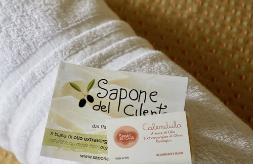 Stella Cilento House | Discover Il Vecchio Frantoio: Pool, Spa & Family-Friendly Stay