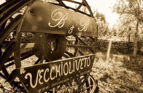 Marrubiu Bed & Breakfast | Discover Il Vecchioliveto di Ornella - Rated 9/10 & Family-Friendly