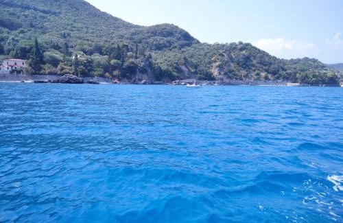 Bosco Apartment | Charming Il Vicoletto: Child-Friendly Experience Rated 9/10