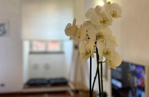 Marino Apartment | Discover Il Vicoletto Marino: Oceanfront & Pet Friendly Stay