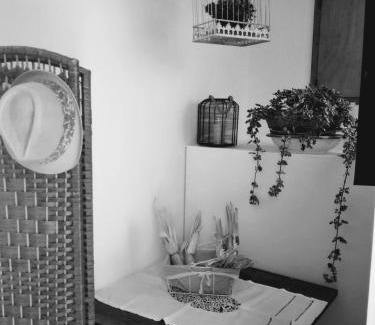 Ripatransone Bed & Breakfast | Pet-Friendly Il Vicolo di Ripa B&b with Breakfast Included
