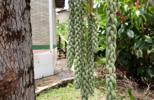 Pati Valley House | Explore Ilha de Mato: Family-Friendly with Breakfast Included