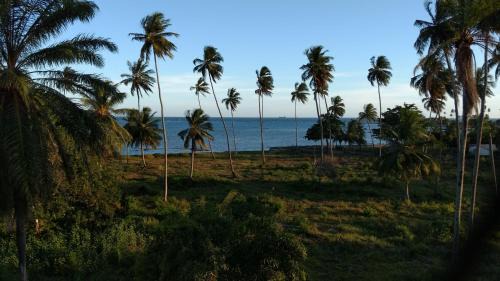 Vera Cruz Apartment | Relax at Ilha dos Corais: Oceanfront Poolside Retreat