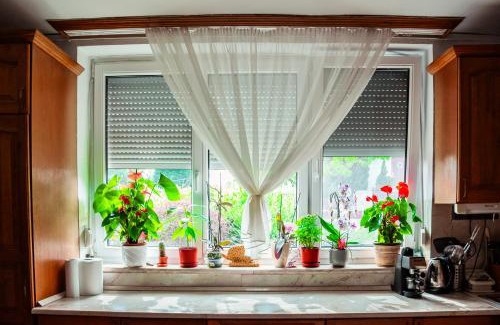 Balatonfured House | Pet-Friendly Retreat at Illyés Vendégház - Rated 9/10!