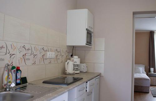 Gyula Apartment | Top-Rated Ilona Apartman with Eco-Friendly Amenities