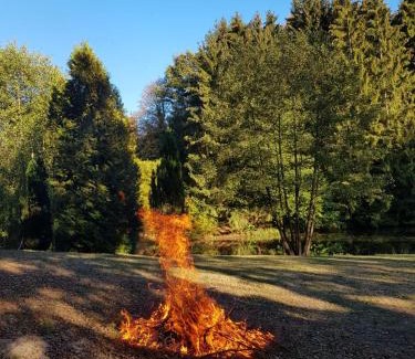 Roth an der Our Apartment | Cozy Im Baumhaus: Pet & Child Friendly Retreat