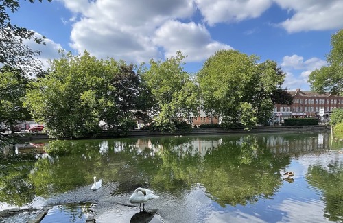 Cray Valley East Apartment | Immaculate 1-Bed Apartment in Orpington