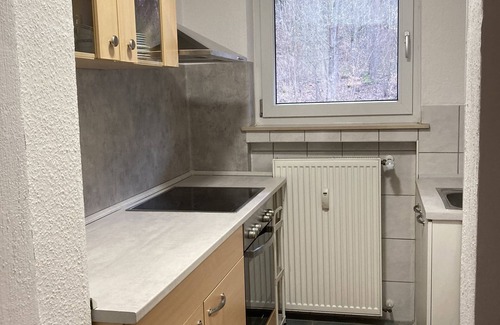 Ziebach Apartment | Cozy Immensee IV Apartment with Fireplace and Kitchen Access
