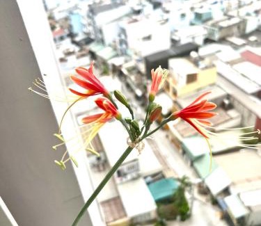 Binh Tan Apartment | IMPERIAL PLACE - NATURAL POEM View đẹp - hồ bơi, gym miễn phí