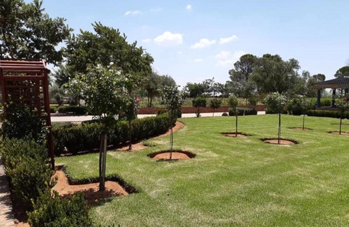 Mangaung Cabin | Discover Imvelo Safari Lodge: Family-Friendly Retreat