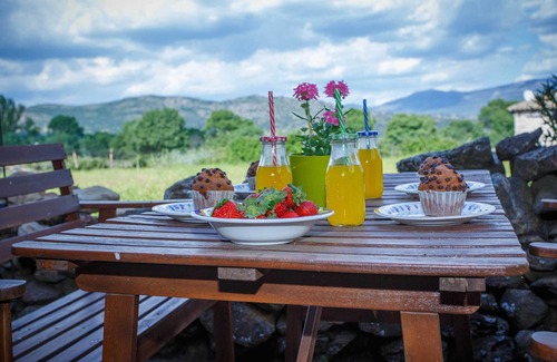 Pinuecar House | Experience Comfort and Relaxation at Casa Camelia Hotel