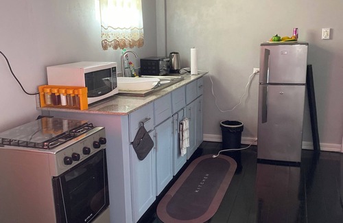 Georgetown Apartment | Prime Location Near Regent St & Botanical Gardens