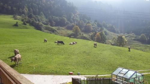 Escholzmatt Apartment | Eygrat: Guest Rated 10/10, Pet & Child Friendly Retreat
