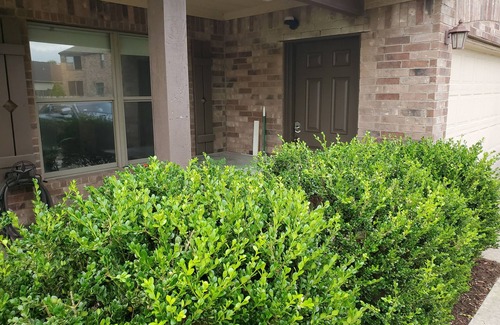 McKinney House | Cozy In Law Suite with Spa and Child-Friendly Amenities