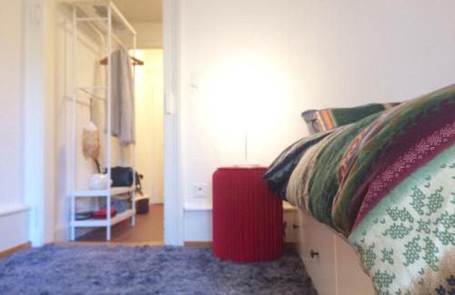Basel City Centre Apartment | Historic Rathaus Apartment in Swiss Home with Breakfast