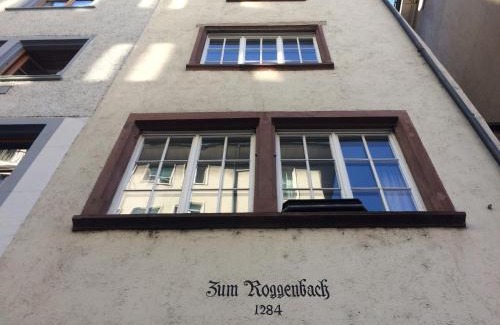 Basel City Centre Apartment | Historic Rathaus Apartment in Swiss Home with Breakfast