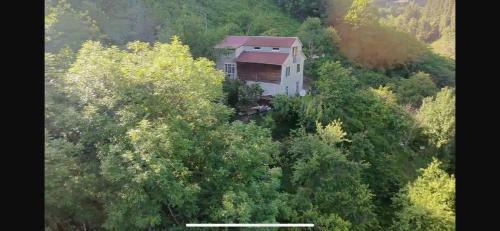 Khelvachauri House | In the Forest