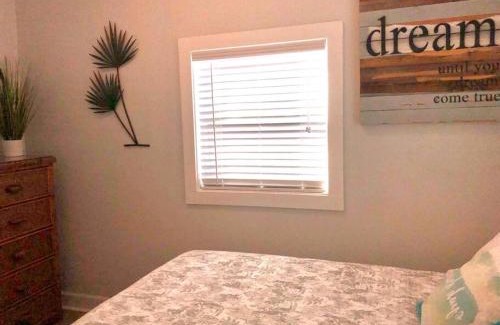 Downtown Dunedin Apartment | Elegant One Bedroom Apt with Oceanfront Views in Dunedin