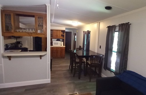 Maple View House | Experience Nature's Splendor During the Salmon Run!
