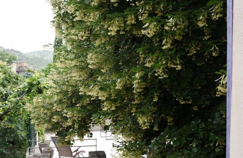 Mollans-sur-Ouveze House | Relax in Nature at In the Shade of the Lime Tree