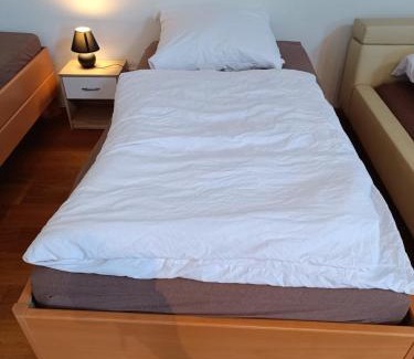 Bothfeld-Vahrenheide Apartment | Cozy Villa Apartment with Full Kitchen & VIP Shuttle Service
