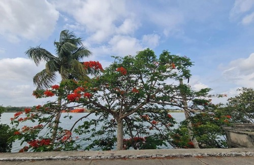 Tuxpan Apartment | Incredible view of the river