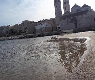 Molfetta Apartment | Oceanfront Guest House INDE Á LA TERRE: Rated 9.7/10