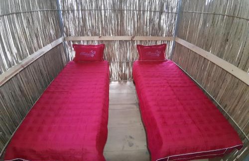 Mu Cang Chai House | Indigenous Homestay: Trekking, Food & Family-Friendly Amenities