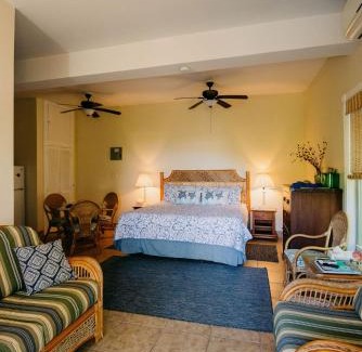 Estate Enighed Apartment | Indigo: Pet-Friendly Retreat with Pool and Family Fun