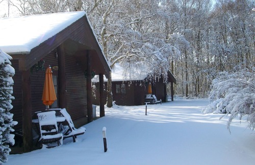 Ashford House | Perfect Lodge with Indoor Pool in Scenic Woodland Retreat