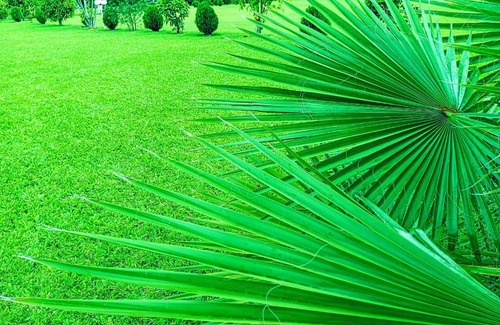 Viwanda Bed & Breakfast | Serene Events Garden with Family-Friendly Amenities