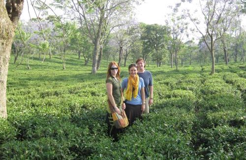 Palampur Hotel | Experience Infinitea Dakbunglow with Pool & Ocean Views