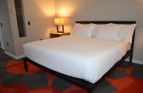 Marina District Hotel | Explore Infinity Hotel San Francisco – A 4-Star Retreat