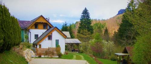 Bohinjska Bela Apartment | InGreen House: Oceanfront Retreat with Pet-Friendly Perks