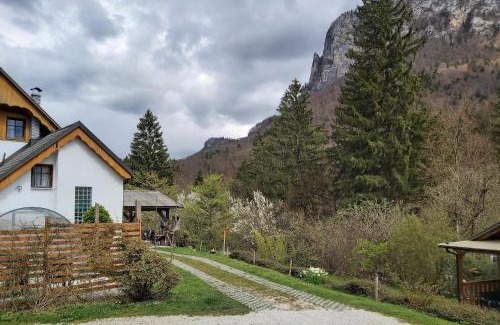 Bohinjska Bela Apartment | InGreen House: Oceanfront Retreat with Pet-Friendly Perks