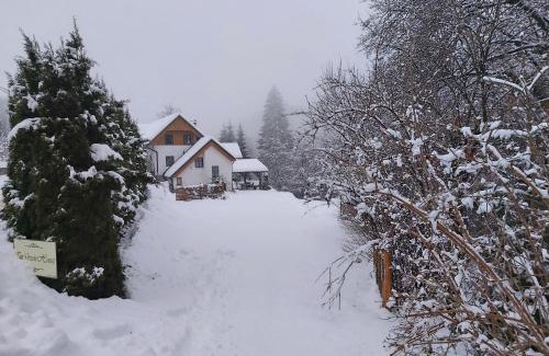 Bohinjska Bela Apartment | InGreen House: Oceanfront Retreat with Pet-Friendly Perks