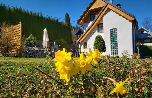Bohinjska Bela Apartment | InGreen House: Oceanfront Retreat with Pet-Friendly Perks