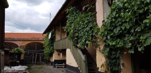 Archita House | Ingrid & Astrid Old Haunted Manor